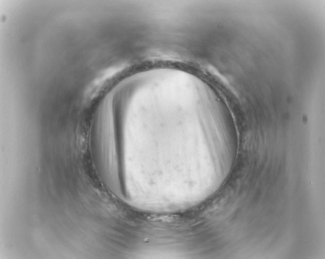 X0000088651303200706221600