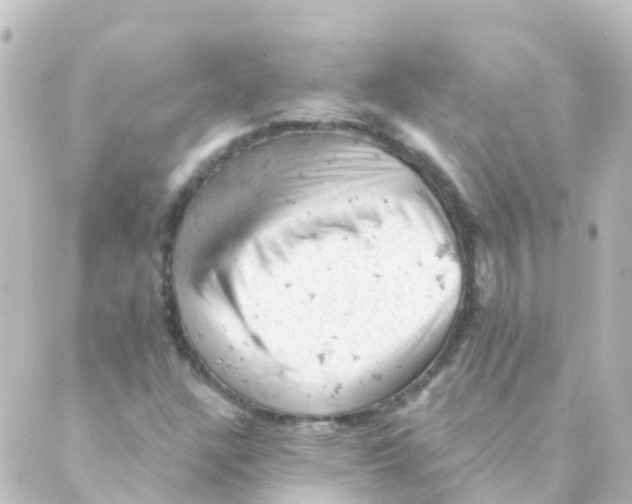 X0000088651304200706221600