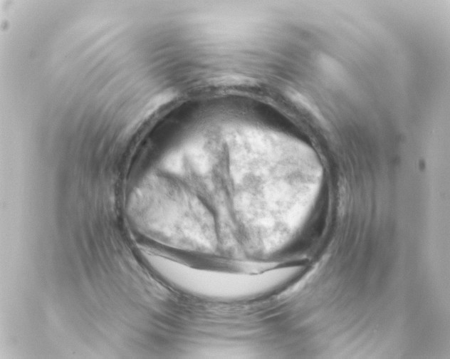 X0000088651305200706221600