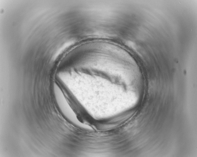 X0000088651307200706221600