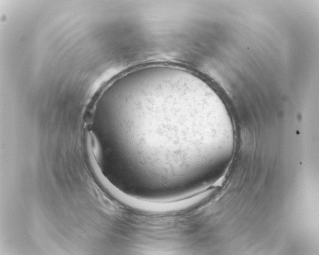 X0000088651308200706221600