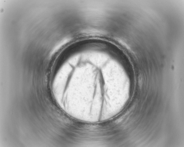 X0000088651309200706221600