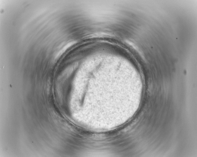 X0000088651313200706221600