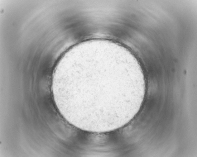 X0000088651314200706221600