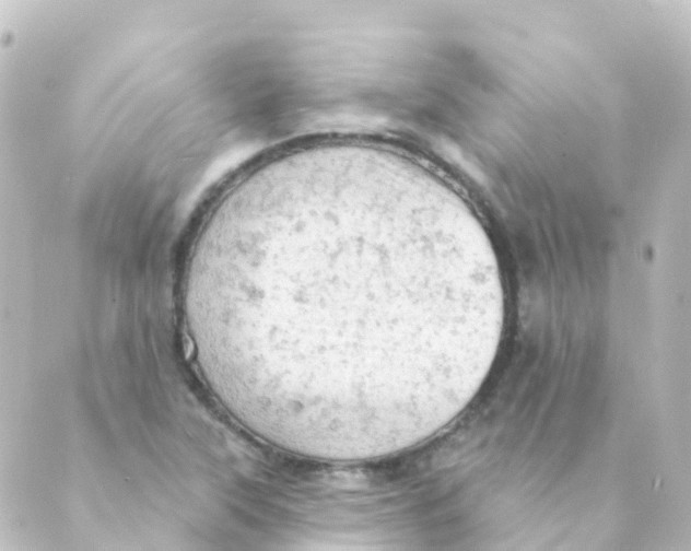 X0000088651315200706221601