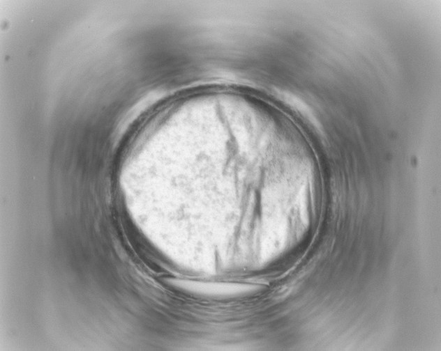 X0000088651318200706221601