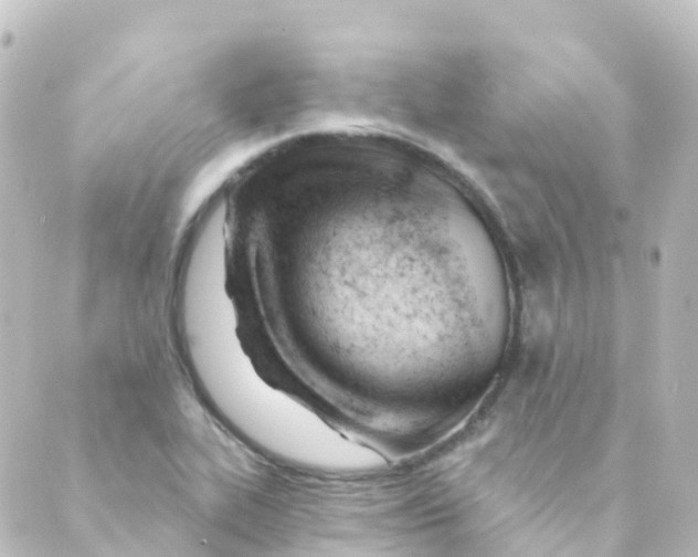 X0000088651319200706221601