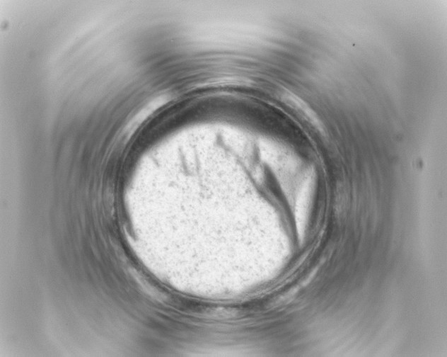 X0000088651321200706221601