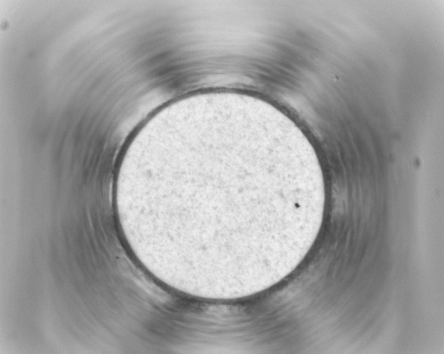 X0000088651322200706221601