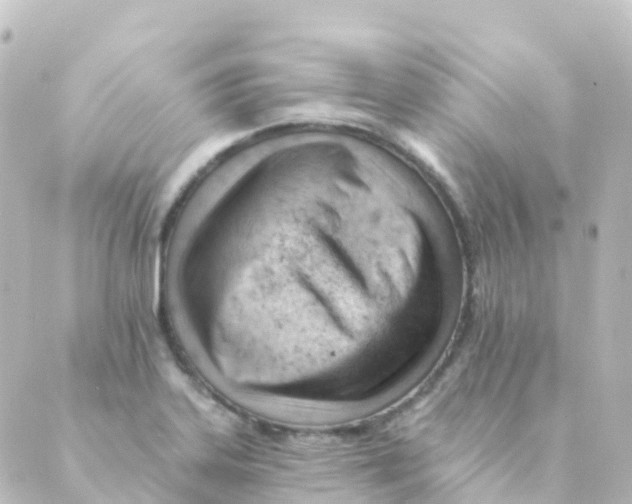 X0000088651323200706221601