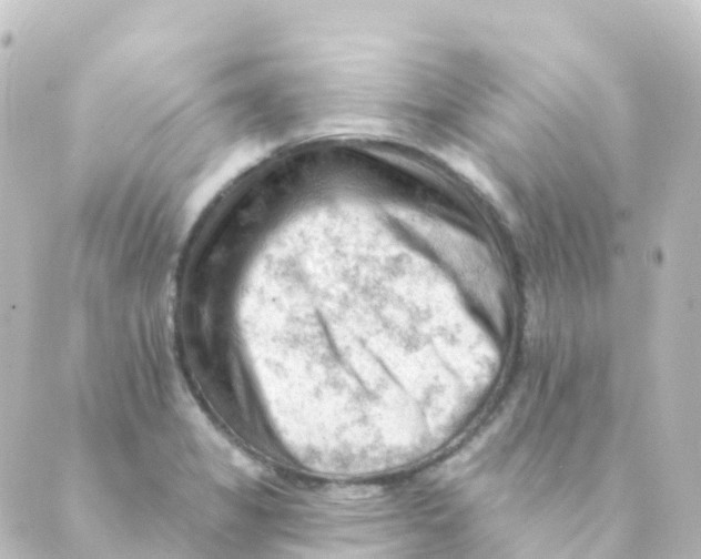 X0000088651325200706221601