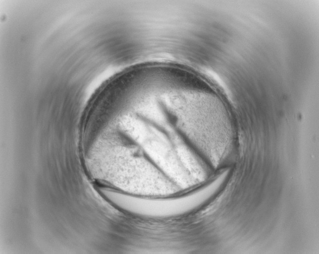 X0000088651326200706221601