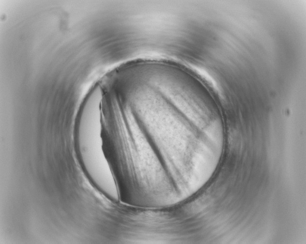 X0000088651327200706221601