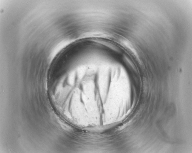 X0000088651328200706221601