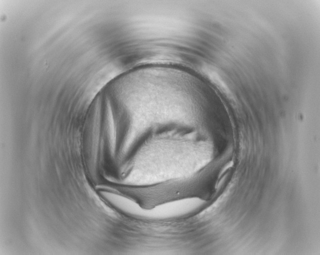 X0000088651329200706221601