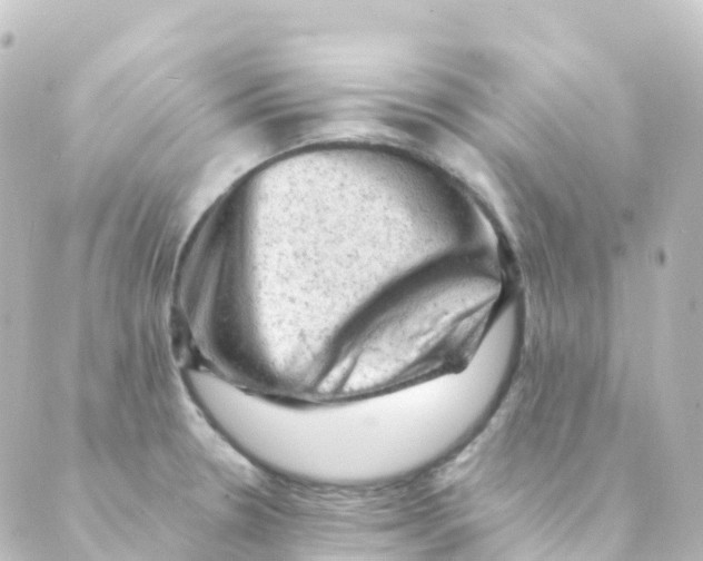 X0000088651330200706221601