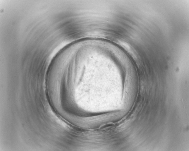 X0000088651331200706221601