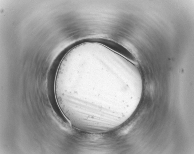 X0000088651332200706221601