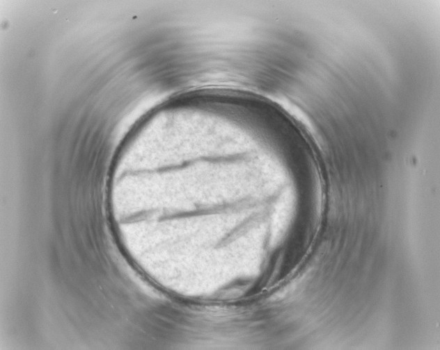 X0000088651333200706221601