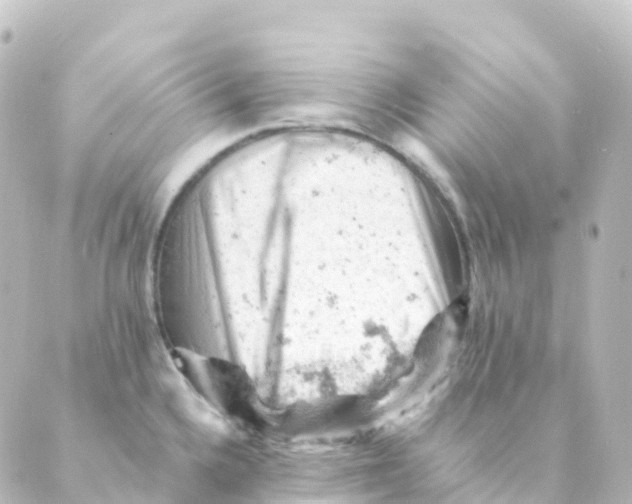 X0000088651336200706221601