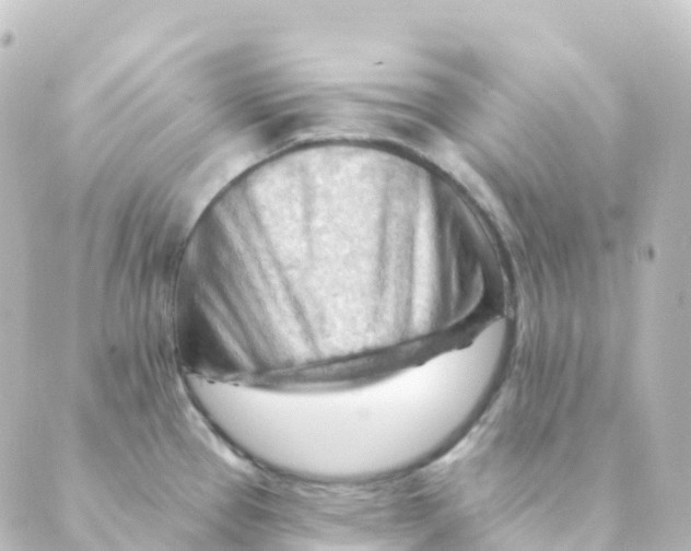 X0000088651337200706221601