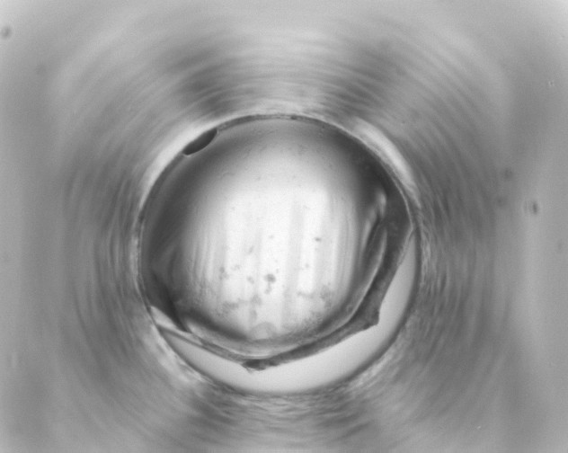 X0000088651340200706221601