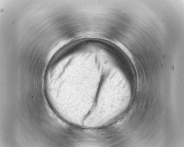 X0000088651341200706221601