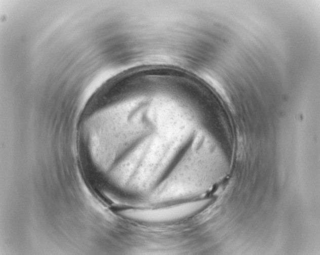 X0000088651342200706221601