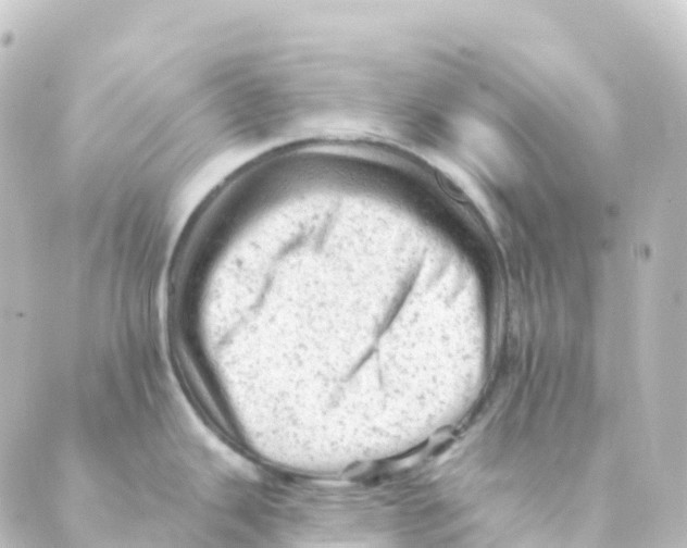 X0000088651343200706221601