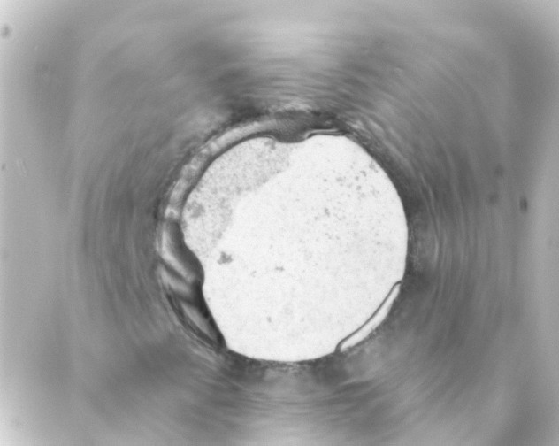 X0000088651345200706221600