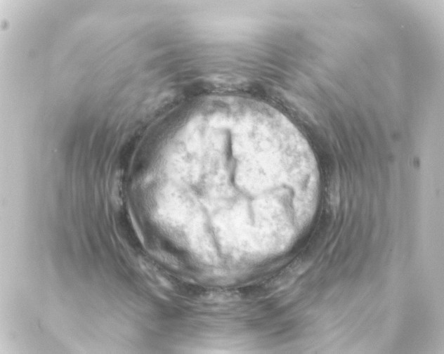 X0000088651346200706221600