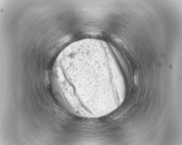 X0000088651347200706221600