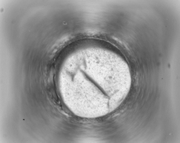 X0000088651349200706221600