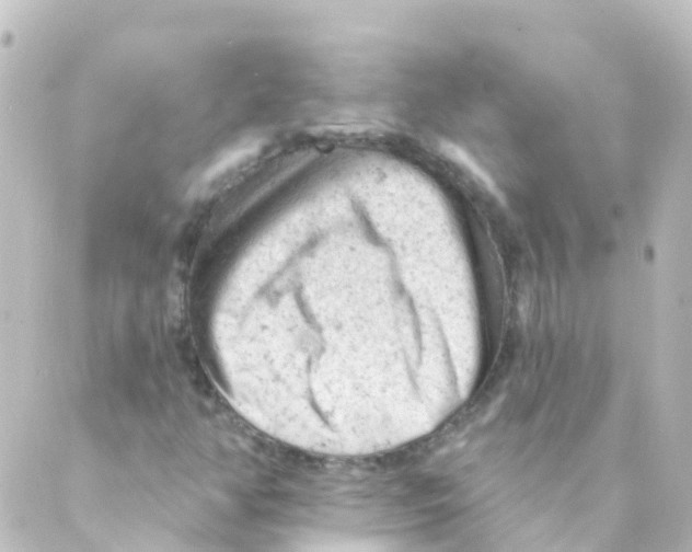 X0000088651350200706221600