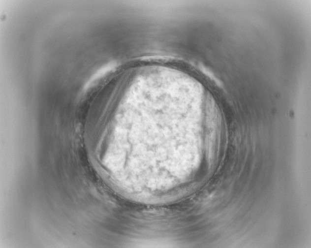 X0000088651351200706221600