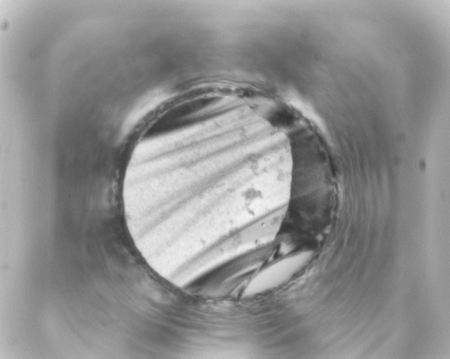 X0000088651352200706221600