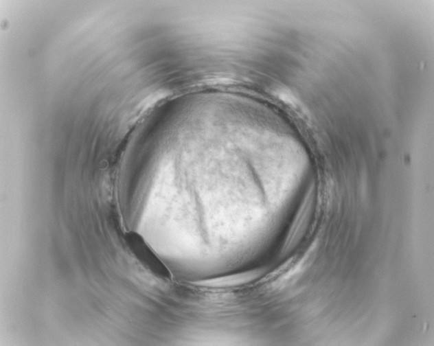 X0000088651353200706221600