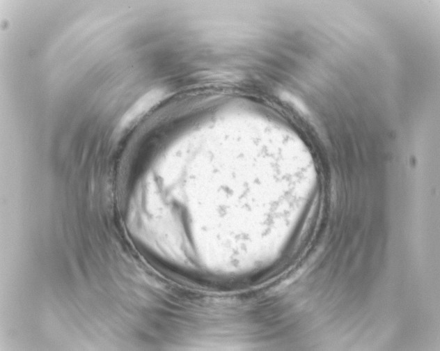 X0000088651354200706221600