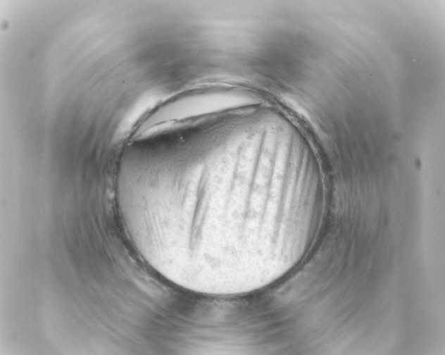 X0000088651355200706221600