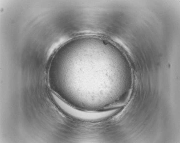 X0000088651357200706221600