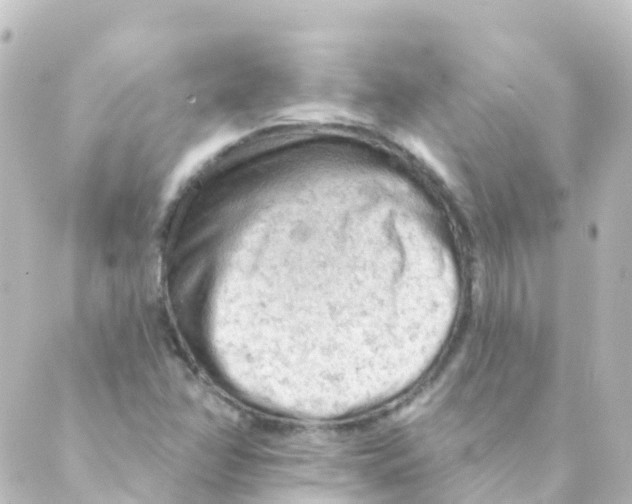 X0000088651358200706221600