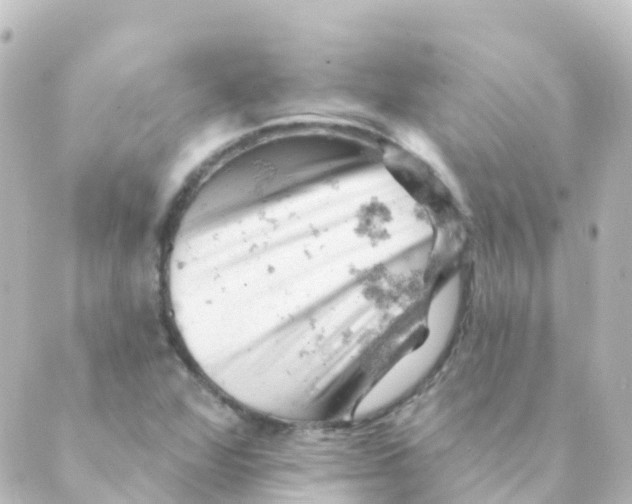 X0000088651360200706221600