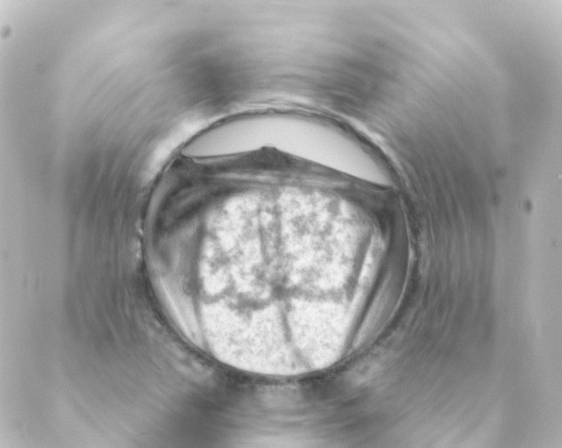 X0000088651363200706221600