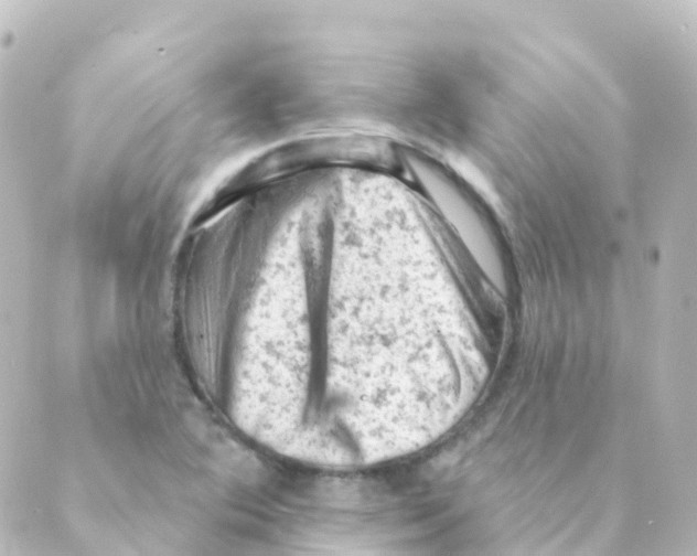 X0000088651364200706221600