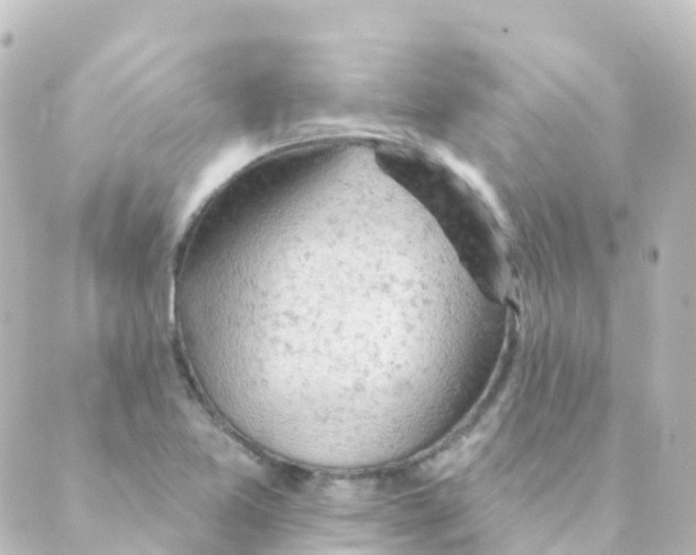 X0000088651365200706221600