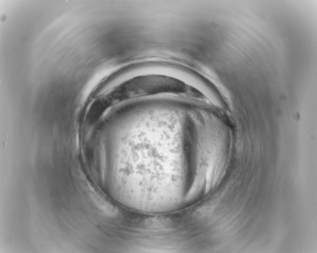 X0000088651368200706221600