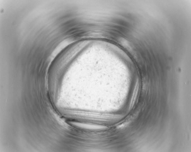 X0000088651370200706221600