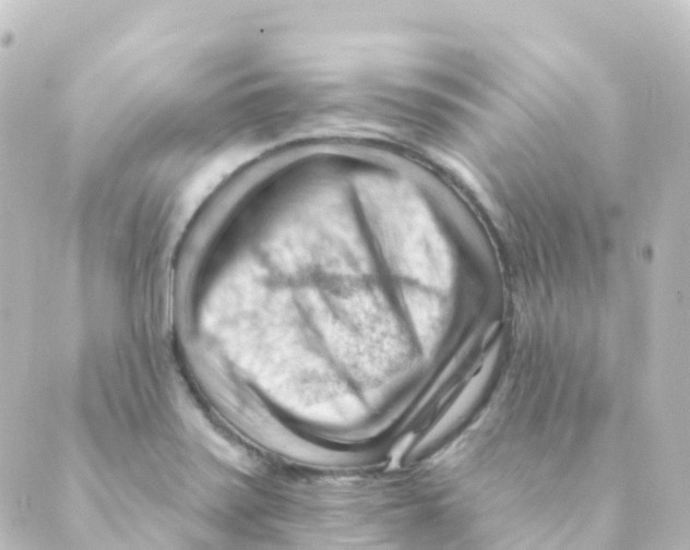 X0000088651371200706221600