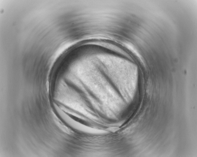 X0000088651372200706221600