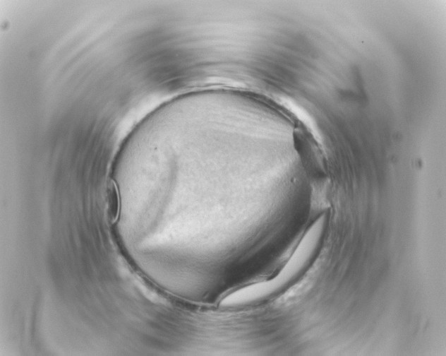 X0000088651373200706221600